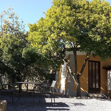 Agriturismo Ardissone Thomas Borganzo Esterno foto