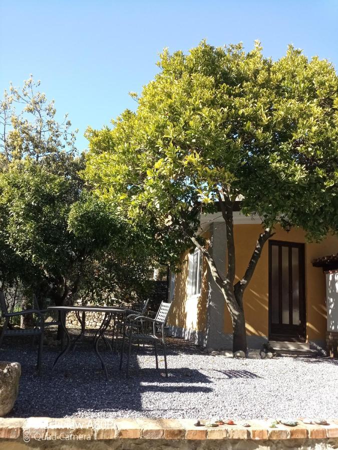 Agriturismo Ardissone Thomas Borganzo Esterno foto