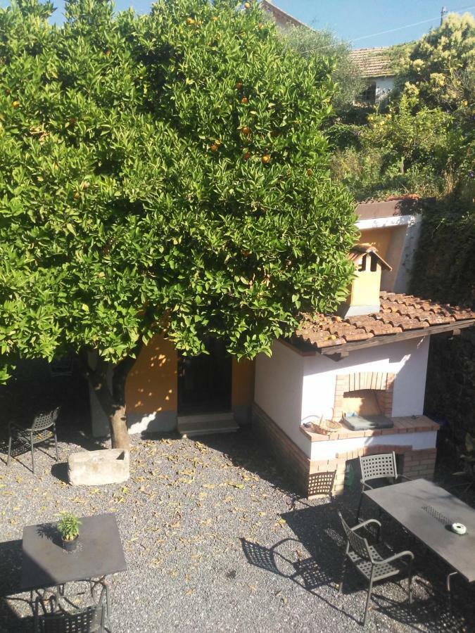 Agriturismo Ardissone Thomas Borganzo Esterno foto